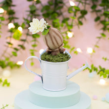 Cargar imagen en el visor de la galería, Mandrágora del amor brown