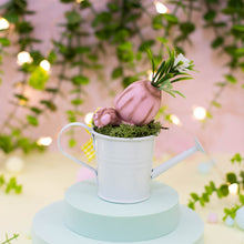 Cargar imagen en el visor de la galería, Mandrágora del amor pink