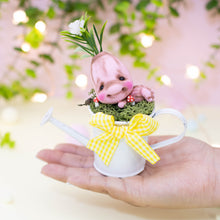 Cargar imagen en el visor de la galería, Mandrágora del amor pink