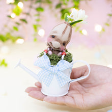 Cargar imagen en el visor de la galería, Mandrágora del amor brown