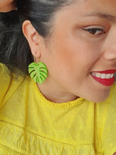 Cargar imagen en el visor de la galería, Monstera verde brilli brilli